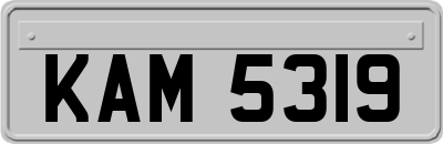 KAM5319