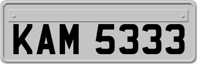 KAM5333