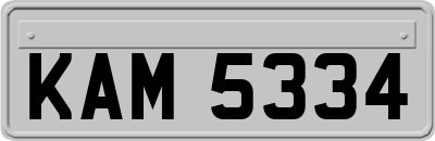 KAM5334
