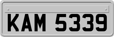 KAM5339