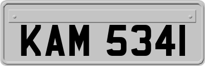 KAM5341