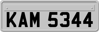 KAM5344