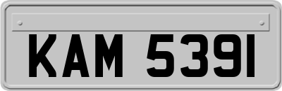 KAM5391