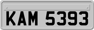 KAM5393
