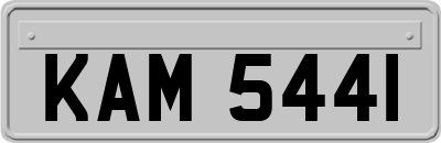 KAM5441