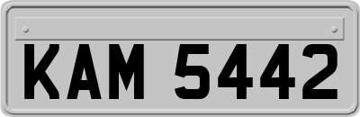 KAM5442