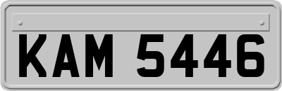KAM5446