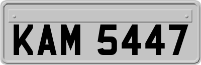 KAM5447