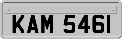 KAM5461