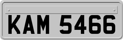 KAM5466