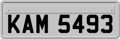 KAM5493