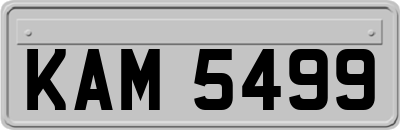 KAM5499