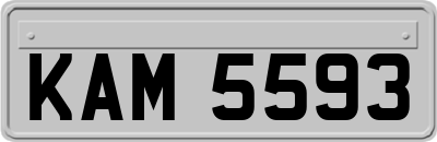 KAM5593