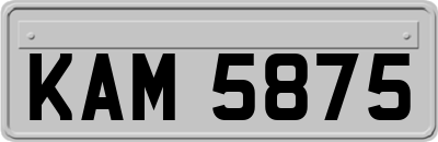 KAM5875
