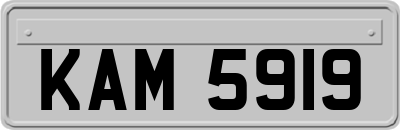KAM5919