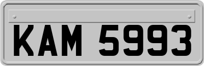 KAM5993