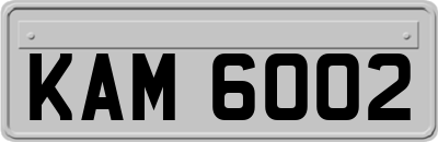 KAM6002