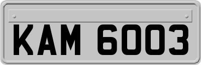 KAM6003