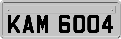 KAM6004