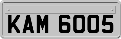KAM6005