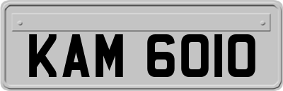 KAM6010