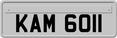 KAM6011