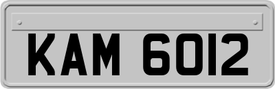 KAM6012