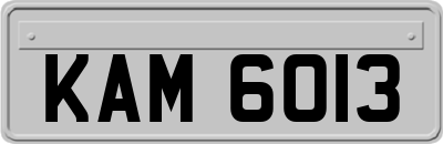 KAM6013