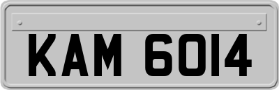 KAM6014