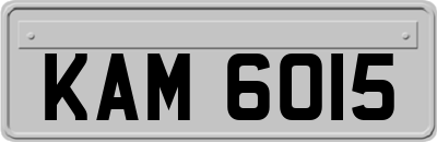 KAM6015