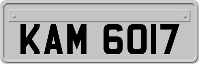 KAM6017