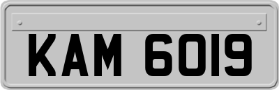 KAM6019