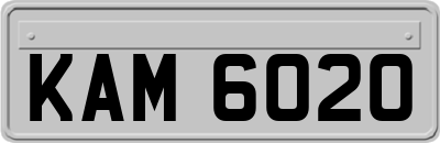 KAM6020