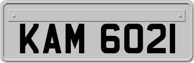 KAM6021