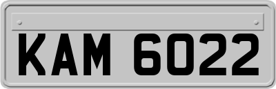 KAM6022