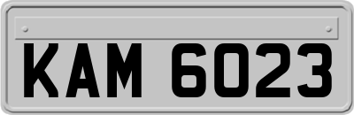 KAM6023