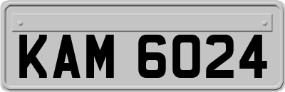 KAM6024