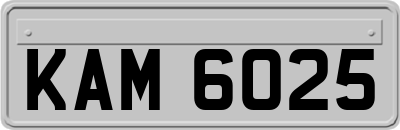 KAM6025