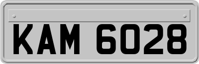 KAM6028