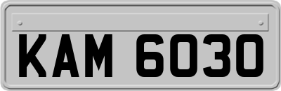 KAM6030