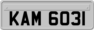 KAM6031