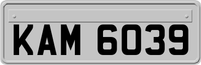 KAM6039
