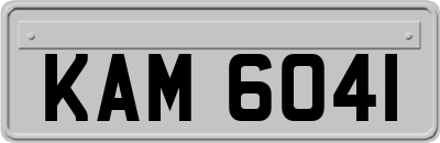 KAM6041