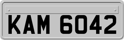 KAM6042
