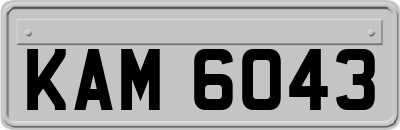 KAM6043
