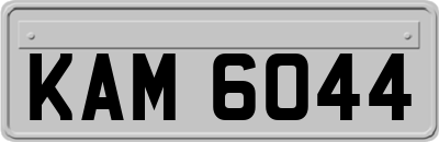 KAM6044