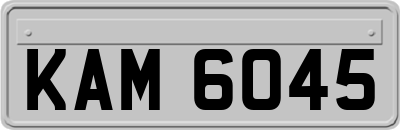 KAM6045
