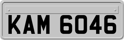 KAM6046