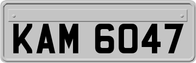 KAM6047