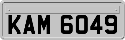 KAM6049